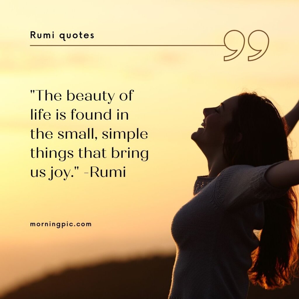 Rumi quotes about the Beauty