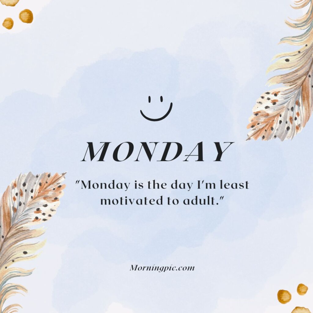 Hilarious monday quotes funny