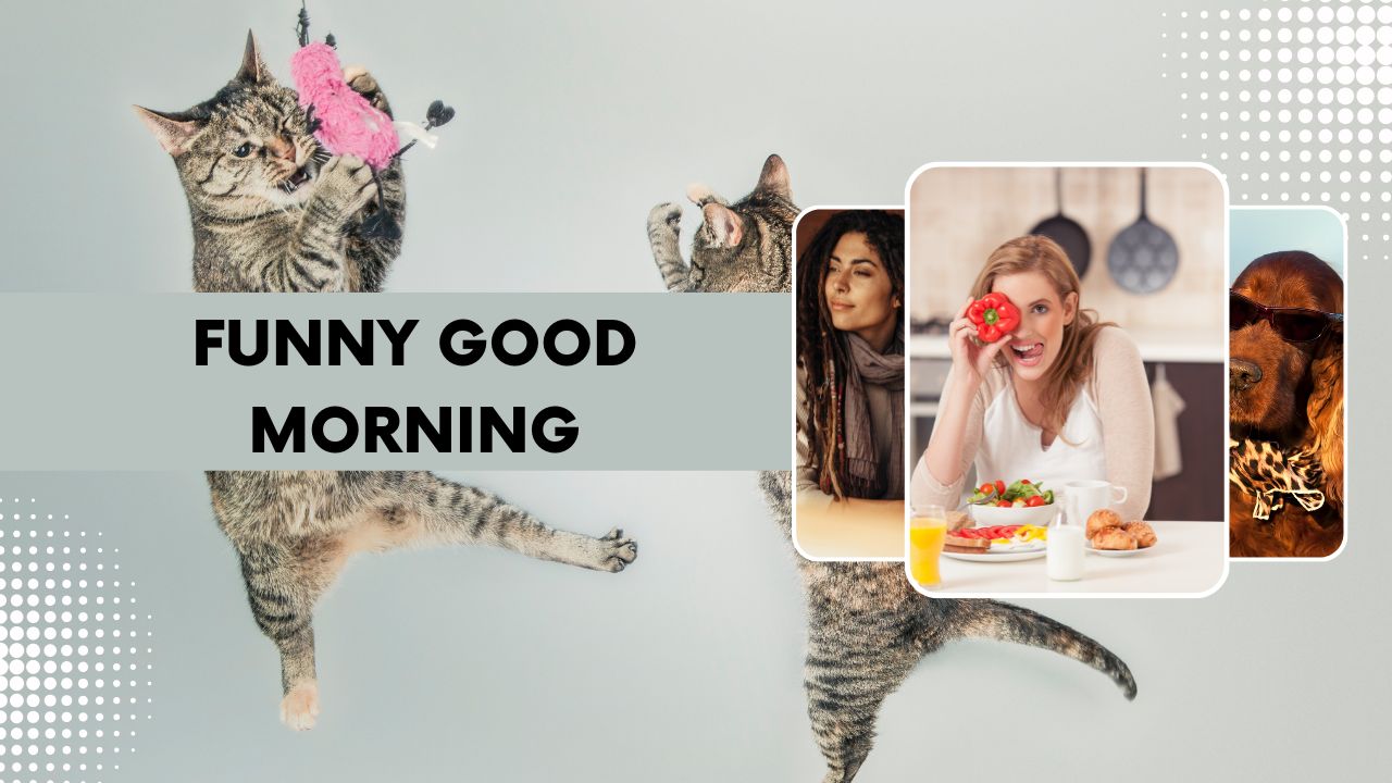 150+ Funny Good Morning Messages, Wishes & Quotes
