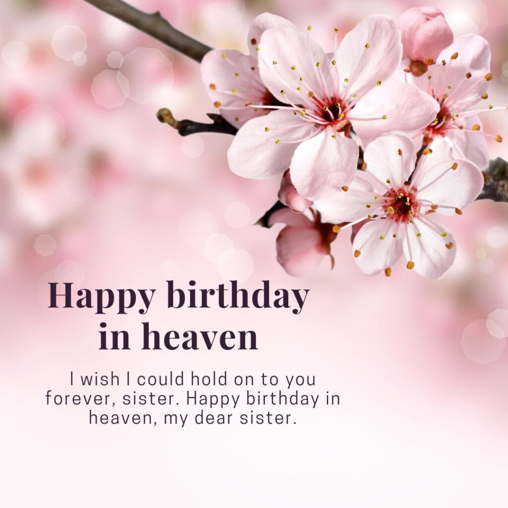 Happy birthday in heaven sister