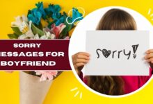 Sorry Messages for Boyfriend