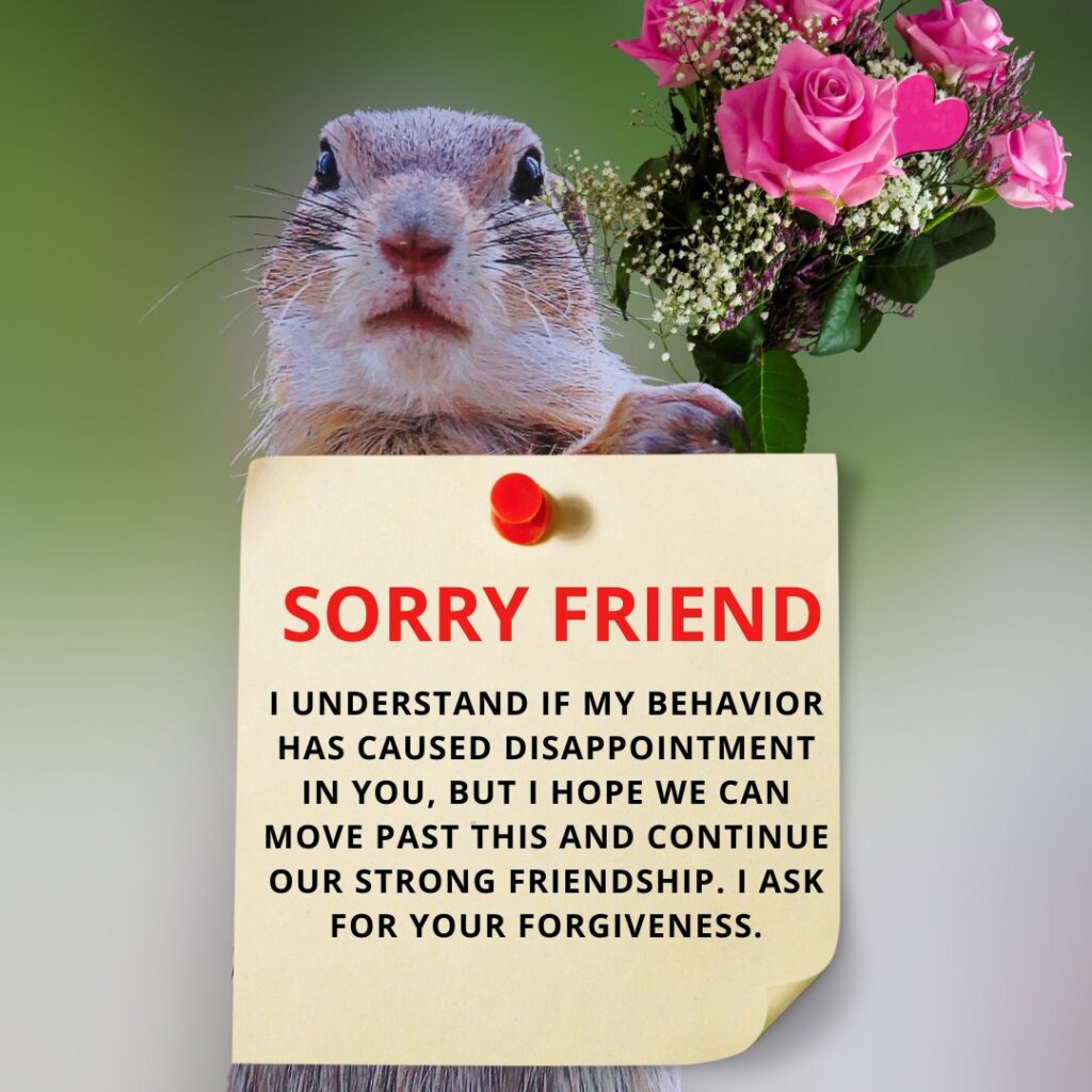 Sorry Messages for Friends