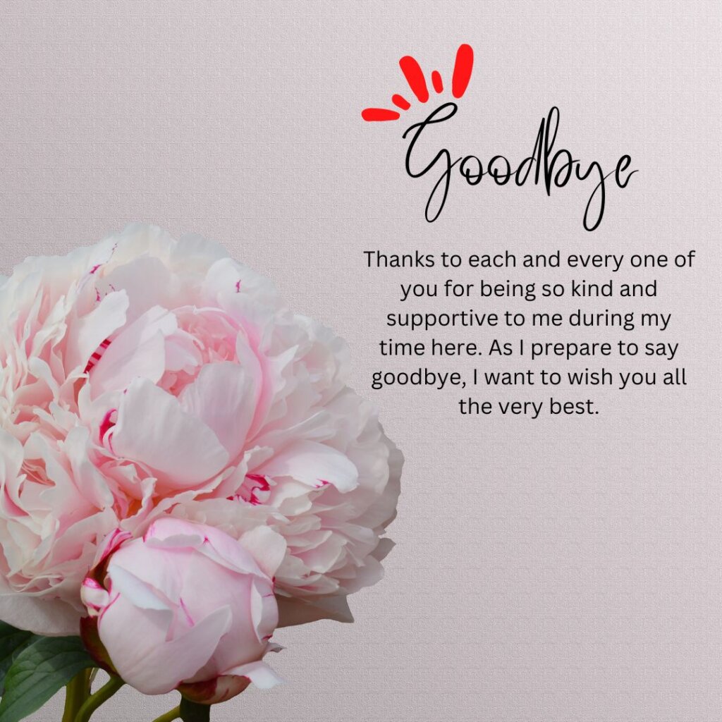 goodbye message leaving company