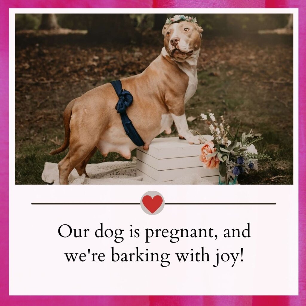 Pregnancy announcement captions