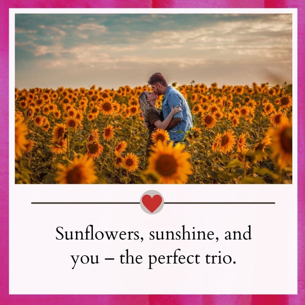 Sunflower captions