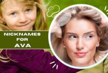 nicknames for ava