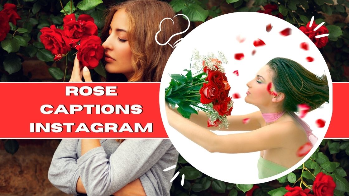 rose captions for instagram