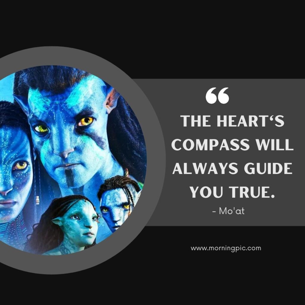 Avatar Quotes