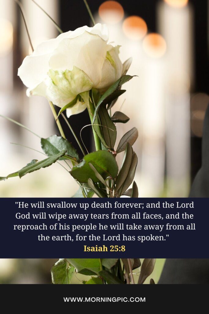 Bible verses about grief and hope