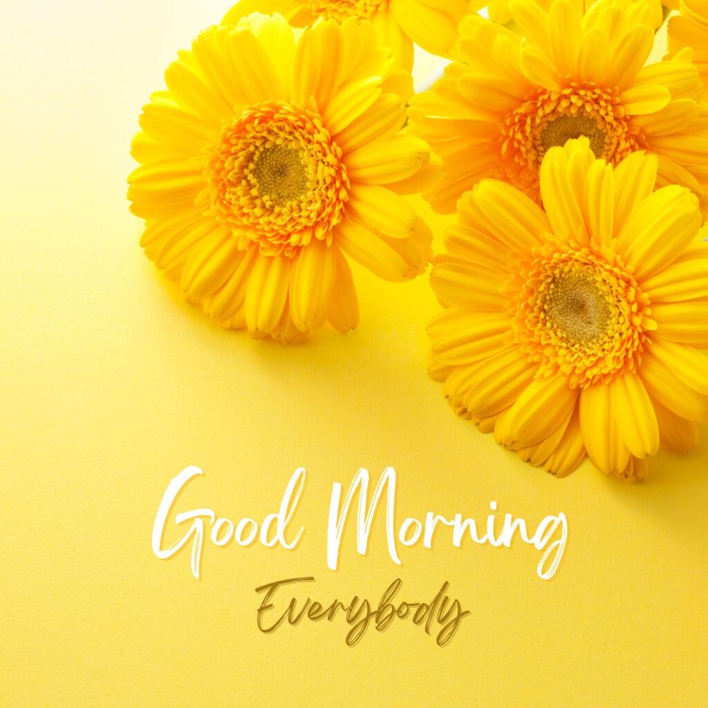Good Morning Flowers Images