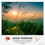 210+ Good Morning Nature Images: Greet Day’s Delight