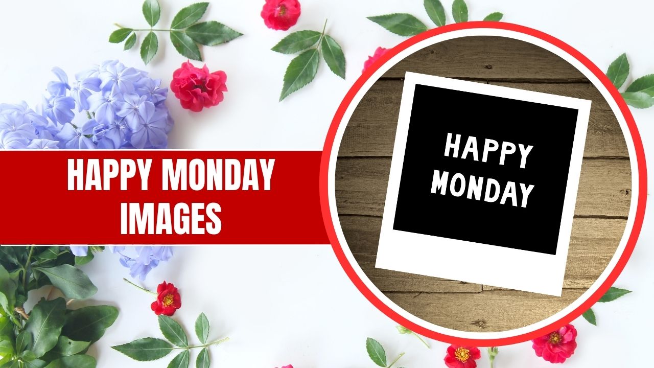 A vibrant graphic featuring a text "happy monday images" with a circular frame showcasing another "happy monday images" text on a black board, surrounded by various colorful flowers on a white background.