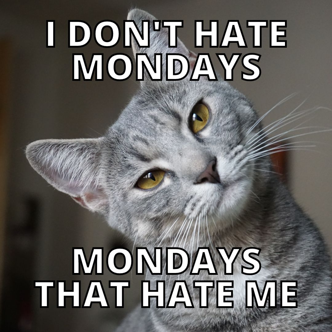 Happy Monday Images Funny