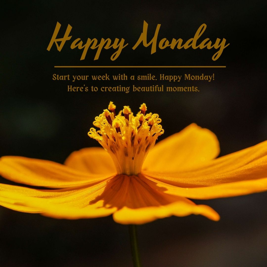 Happy Monday Images with Flowers