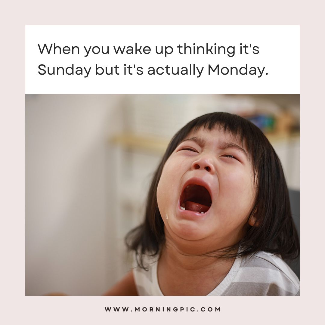 happy monday images funny