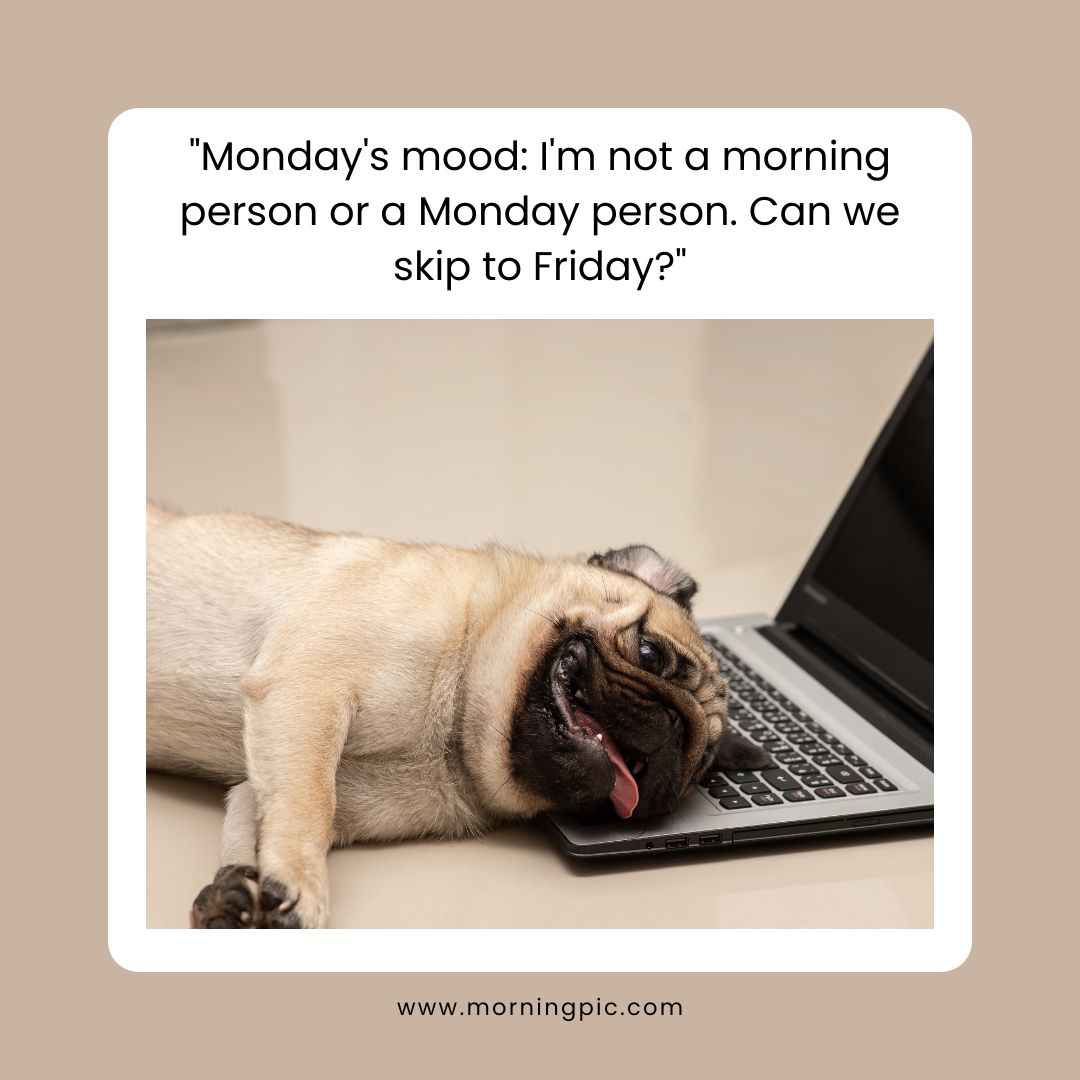 happy monday images funny