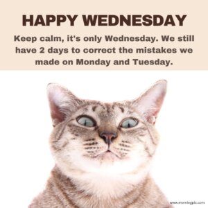 230+ Happy Wednesday Images, Pictures, Photos