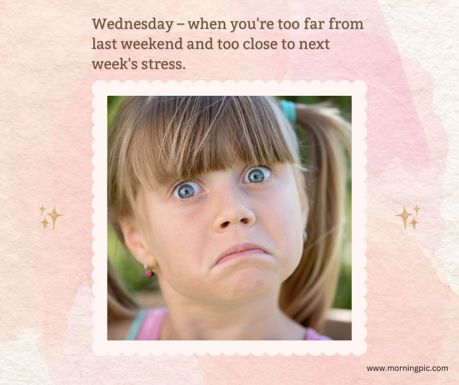 happy wednesday images funny