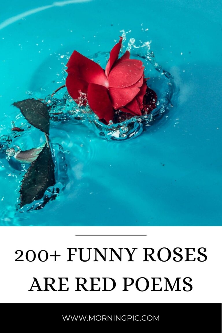 150+ Funny Roses Are Red Poems That Will You LOL Too!