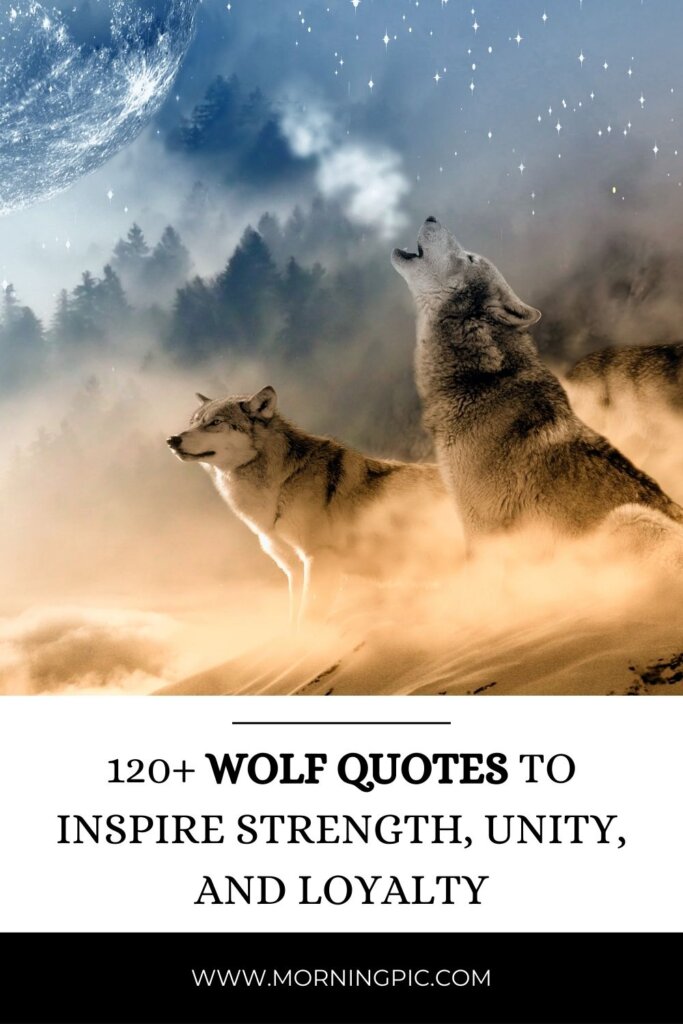  Wolf Quotes