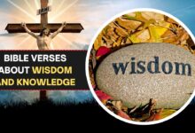 bible verses about wisdom and knowledge