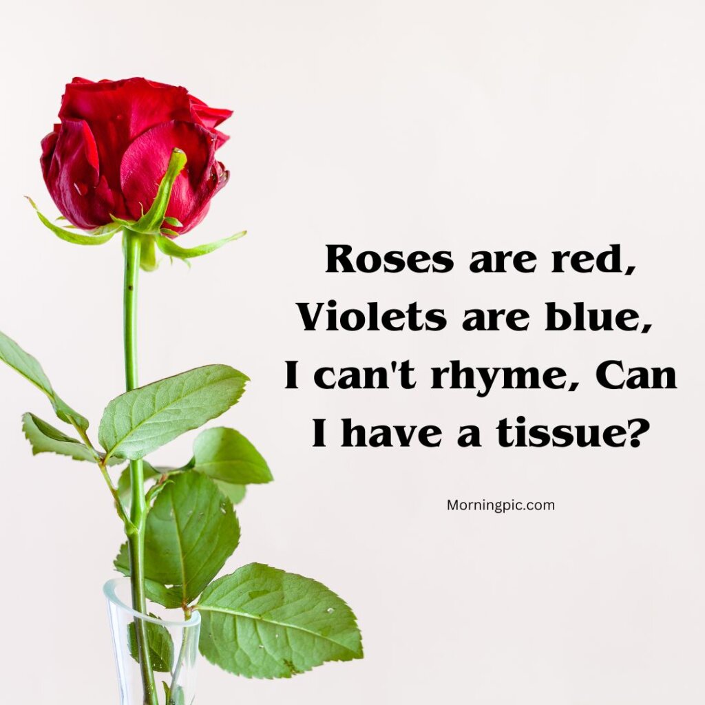 funny roses are red poems
