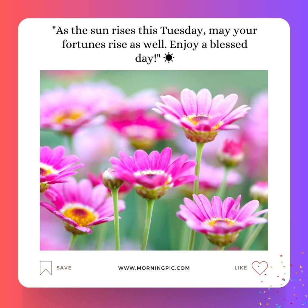 Tuesday Morning Blessings