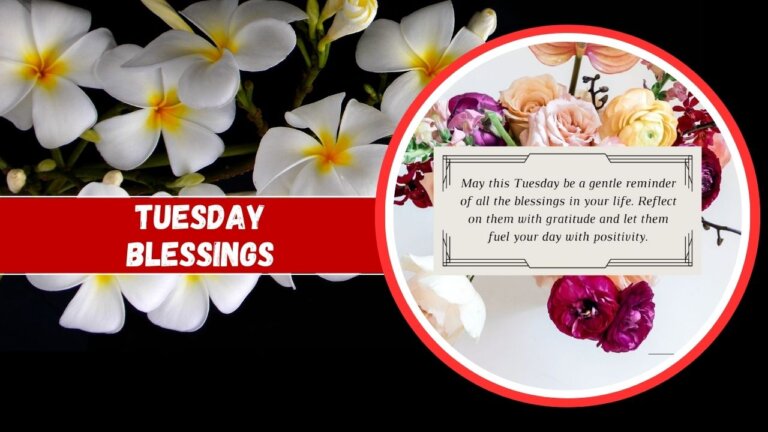 Image split into two parts; on the left, white and yellow frangipani flowers on a dark background, and on the right, a greeting card titled "Tuesday blessings" with a motivational quote