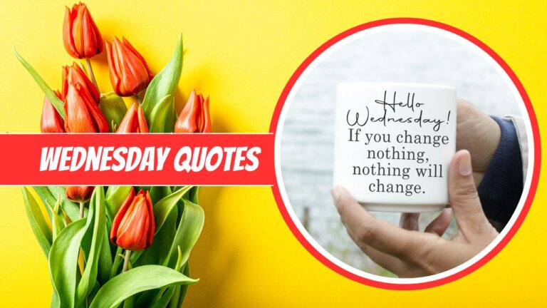 A vibrant collage featuring red tulips on the left and a hand holding a mug with "hello wednesday! if you change nothing, nothing will change." written on it, against a yellow background.
